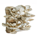 Směs pro pěstování Hlíva ústřičná 15kg (Pleurotus ostreatus)
