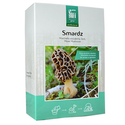 Smrž obecný (Morchella esculenta) mycelium 750ml