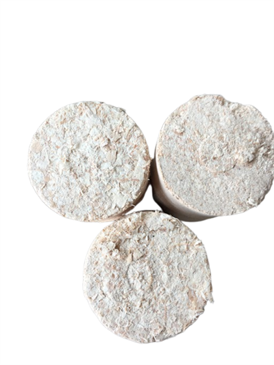 Hlíva růžová (Pleurotus djamor) 1kg, sada pro pěstování