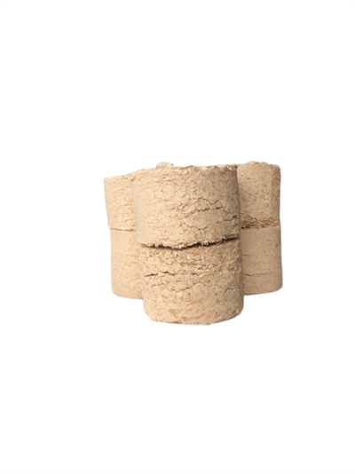 Hlíva růžová (Pleurotus djamor) 1kg, sada pro pěstování