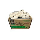 PLANTO PO-15L-ZB Sada pro pěstování Žampión bílý 15l (Agaricus Bisporus)