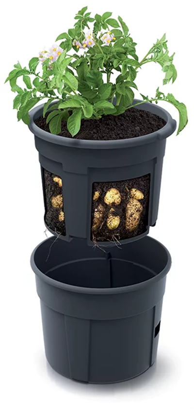 Květináč na pěstování brambor 295mm POTATO GROWER