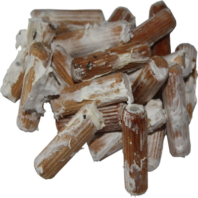 REISHI 20ks - podhoubí na kolících