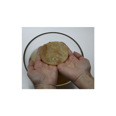 Kombucha - čajová houba