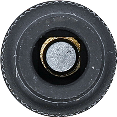 BGS 72104, Nástrčná hlavice pro upnutí závitníku | 10 mm (3/8