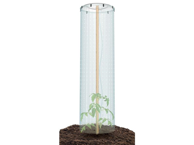 Sada na pěstování rajčat TOMATO GROWER CAP 38,5cm