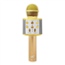 Dětský karaoke mikrofon LTC LXMIC100R Gold