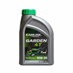 CARLINE GARDEN 4T 10W-30 10L