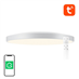 Smart ceiling lamp 30cm Bluetooth 16M RGBCW Gosund LB13 1600