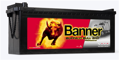 Buffalo Bull SHD PROfessional 225Ah 12V 1150A 517x273x212/240