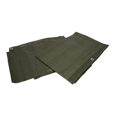 XTLINE Zakrývací plachta PE s oky zelená 70g/m2 | 2x3m