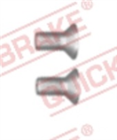 QUICK BRAKE 10520015 Šroub M10x1.5, délka 20 mm, na brzdové kotouče